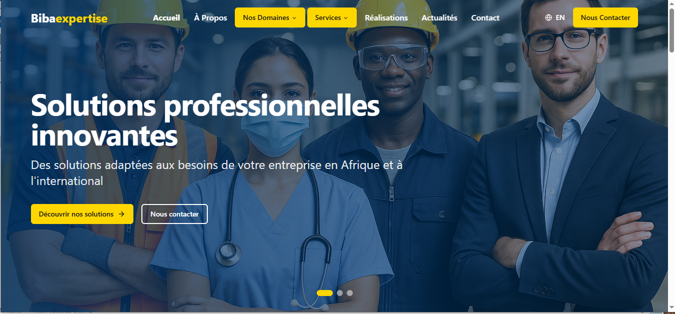 Biba Expertise website screenshot